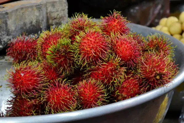 Rambutan.