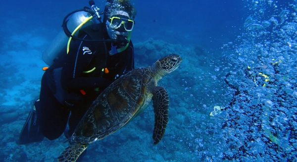 My friend got mad close to this turtle!