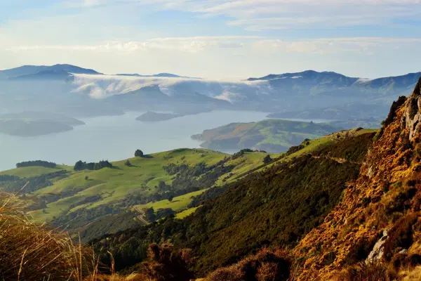 Near Akaroa, New Zealand.