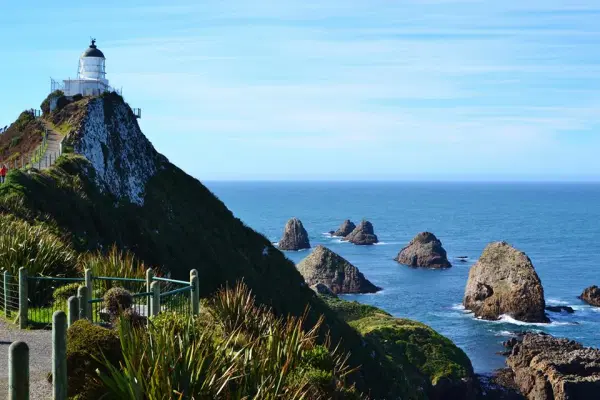 Nugget Point, New Zealand. 